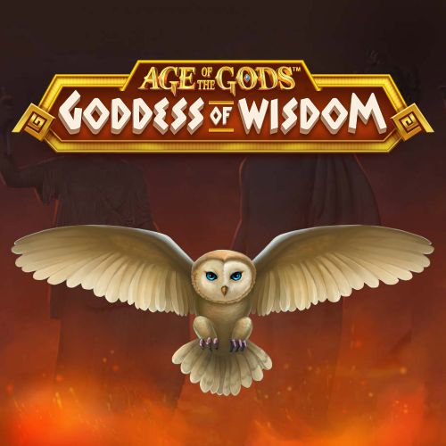 Age of the gods Goddess of Wisdom 众神时代：智慧女神