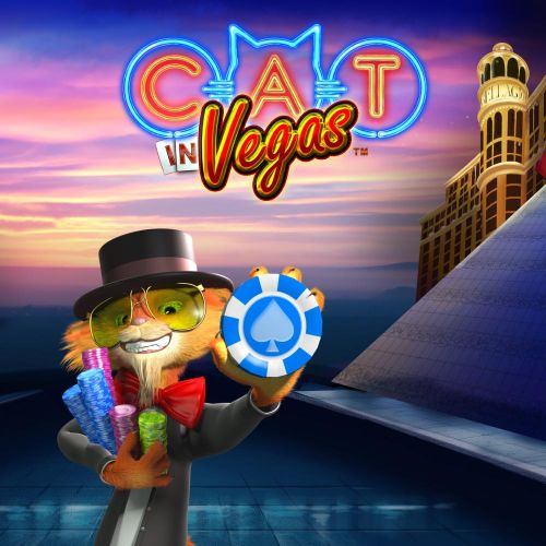 Cat In Vegas 猫赌神