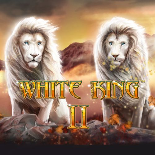 White King 2 坏特王２